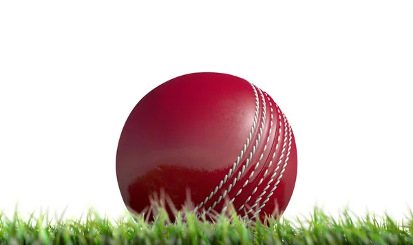 Palla di cricket poggiante sull'erba — Foto Stock