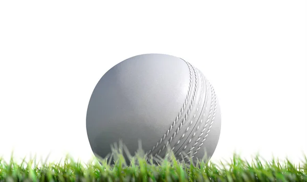 クリケットのボールが芝生の上で休憩 — ストック写真