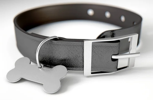 Leather Collar With Tag — Stock Photo, Image