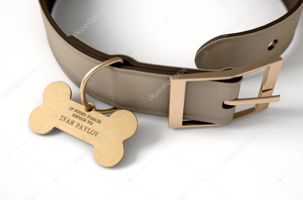 Leather Collar With Tag