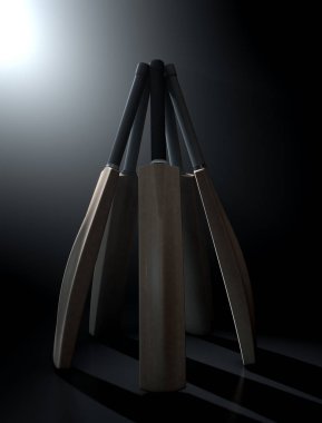 Kriket geri daire dramatik