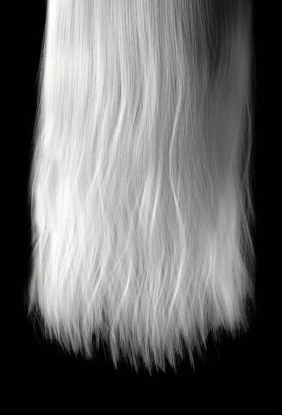Comprimento de cabelo — Fotografia de Stock