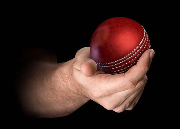 Hand met cricket bal — Stockfoto