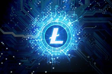 Cryptocurrency Hologram ve devre kartı