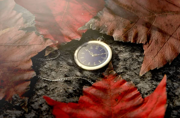 Lost Pocket Watch On Chain — Stock Photo, Image