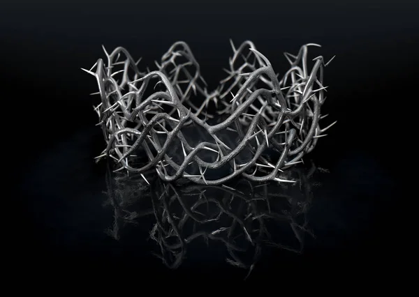 Silver Crown Of Thorns — Stock Photo, Image