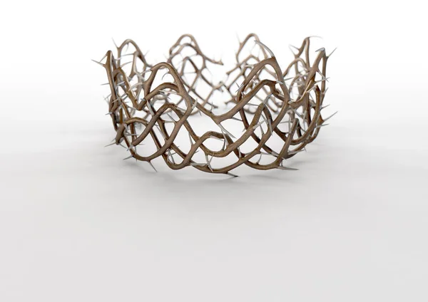 Crown Of Thorns — Stock Photo, Image
