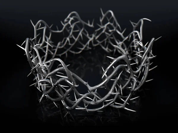 Silver Crown Of Thorns — Stock Photo, Image