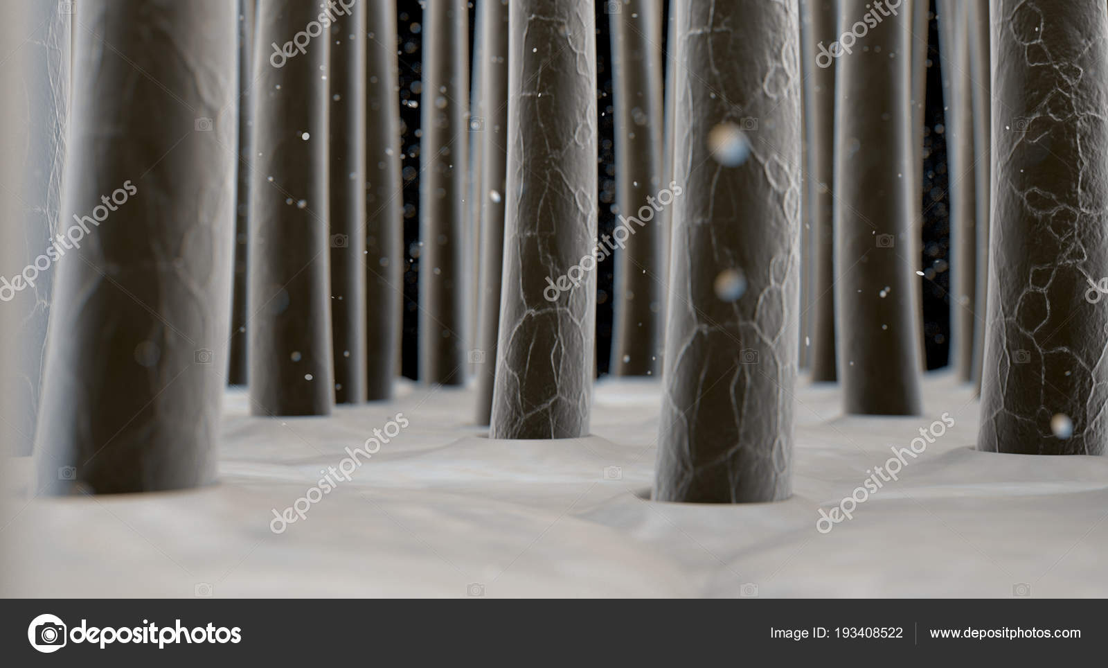 1602 Human Hair Microscope Images Stock Photos  Vectors  Shutterstock