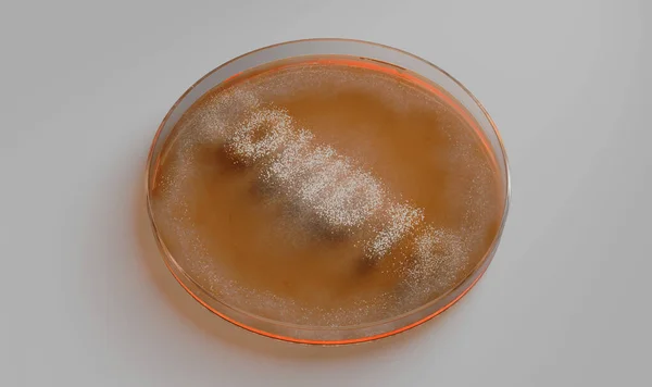 Concept Showing Fungi Growing Orange Medium Petri Dish Spelling Out — Stock Photo, Image