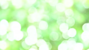 kopya alanı ile doğal ışık ile bokeh bulanık yeşil doğa arka plan hareket.
