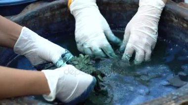 Asyalı kız el boya korumak için beyaz lastik eldiven içinde sarılı. Bez boyalı mavi çivit ovuşturdu olduğunu. Tayland yerlisi olarak boyama yöntemi. Bu boyama antik bir yöntemdir