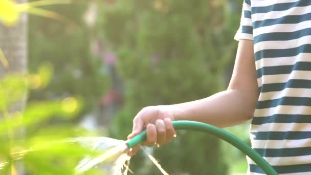 Fille Asiatique Âgée Ans Arrosé Arbre Soir Avec Tuyau Droit — Video