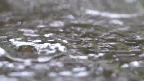 在雨天 慢动作降雨落在水面上 波浪是由降雨引起的 影响范围广泛的影响和重叠 感到孤独和孤独 — 图库视频影像