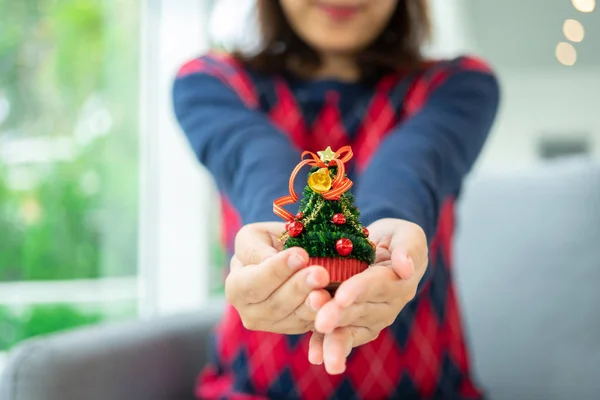 Close up tiro de mãos femininas segurando uma pequena árvore de Natal Cel — Fotografia de Stock