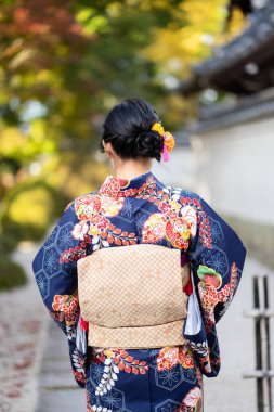 Kırmızı tahta Tori Kapısı 'nın arasında Japon kimonosu giyen geyşalar. 