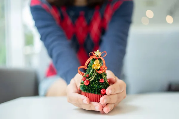 Nahaufnahme weiblicher Hände, die einen kleinen Weihnachtsbaum halten — Stockfoto