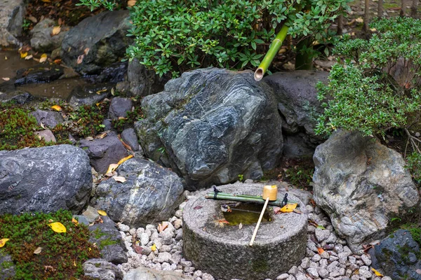Ιαπωνική διακόσμηση κήπου Τονίζοντας την ηρεμία και τη διατήρηση — Φωτογραφία Αρχείου