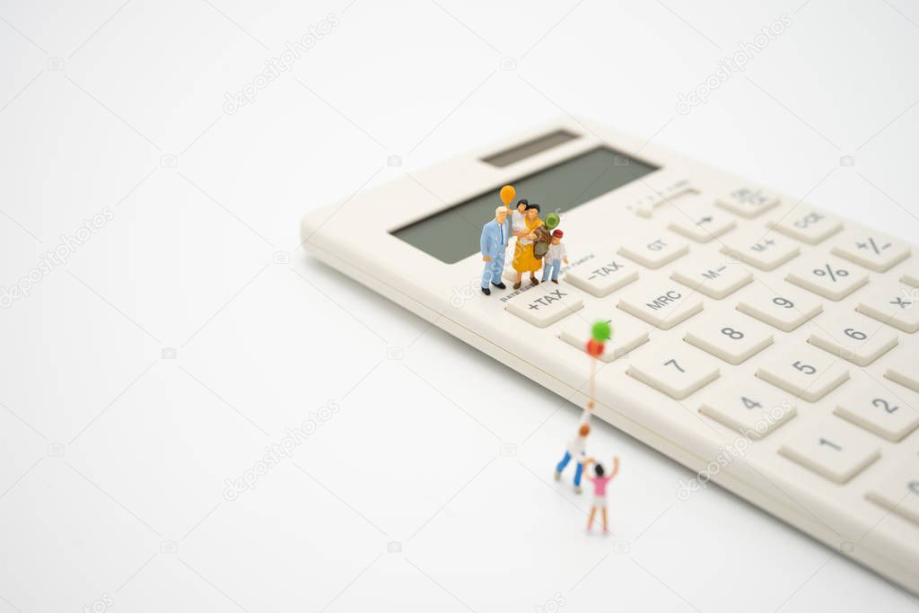Family Miniature people Pay queue Annual income (TAX) for the ye