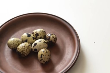 Beyaz arka plan üzerinde kil tabakta bıldırcın yumurtası. Portre fotoğraf