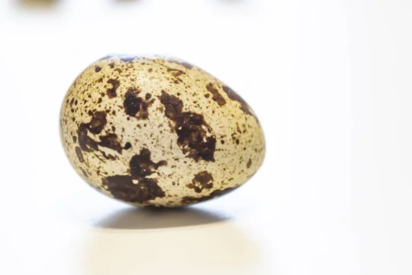 ウズラの卵 ウズラの卵は白い背景で隔離のグループ クローズ アップ写真 — ストック写真