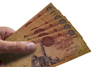 El tutan Mısır Poundu. Egp. Mısır Para Birimi.