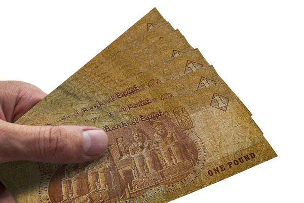 El tutan Mısır Poundu. Egp. Mısır Para Birimi.