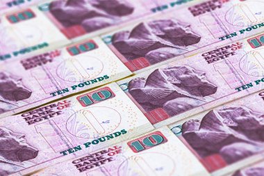 Egp. Mısır 'ın parası. Mısır 'ın arka planı. Makro fotoğraf