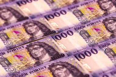 Huf. Macaristan para birimi geçmişi. Macaristan banknotları forints. Bud.