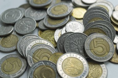 Polonya zloti paraları. Makro fotoğraf. Polski zlotisi