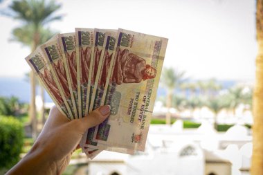 Kadın ellerinde Mısırlı sterlini. Mısır 'ın parası. Yaz teması