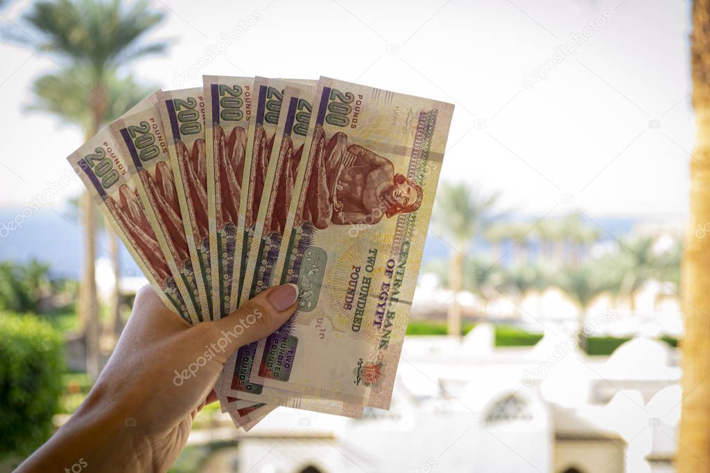 Egyptian pounds in woman hands. Money of Egypt. Summer theme