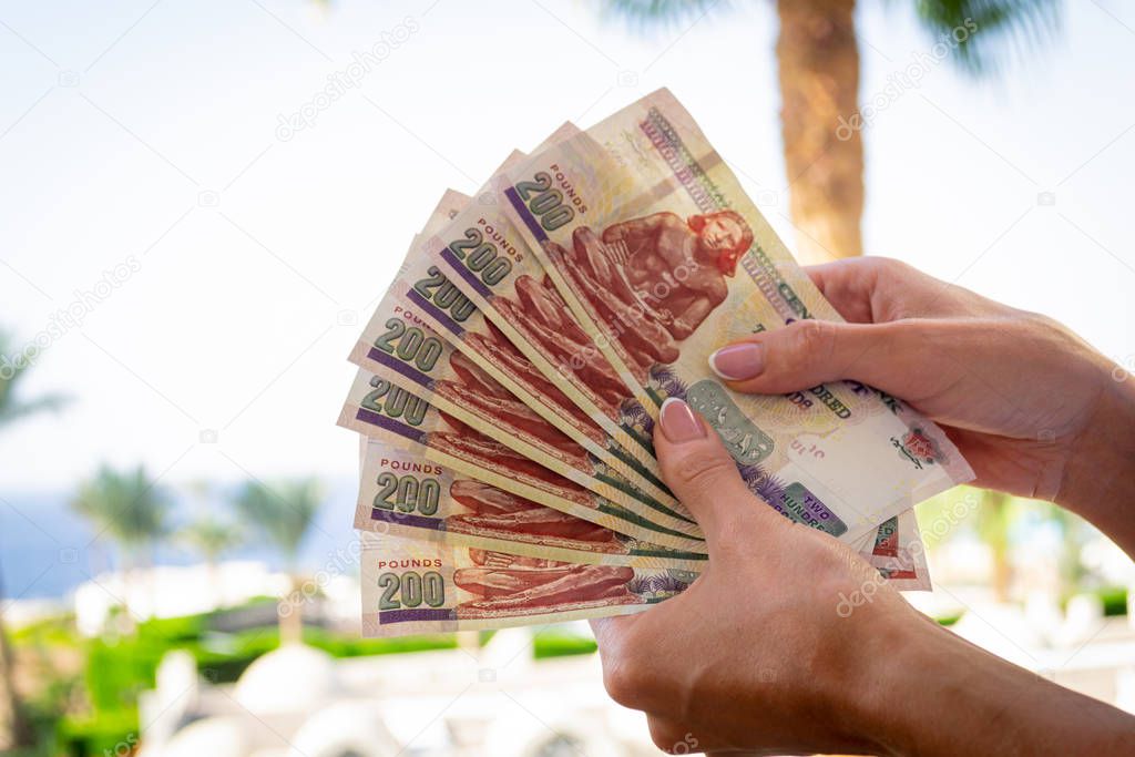 Egyptian pounds in woman hands. Money of Egypt. Summer theme