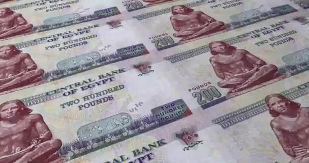200 Egyptian Pounds Printing Loop Footage Illustration Money Egypt — Stock Video