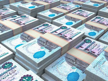 Mısır sterlini. Mısır 'ın parası banknotlar, mali geçmiş.