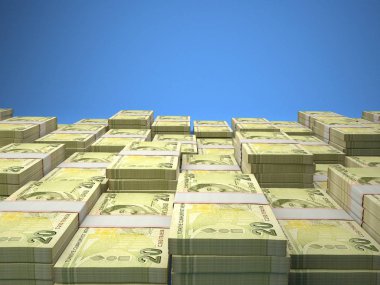 Türk parası. Türkiye 'nin para ticareti geçmişi. Türk L 'si