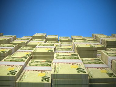 Türk parası. Türkiye 'nin para ticareti geçmişi. Türk L 'si