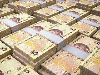 Türk parası. Türkiye 'nin para ticareti geçmişi. Türk L 'si