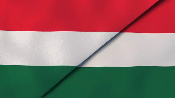 Флаги Двух Государств Венгрии Венгрии Высококачественный Бизнес Фон Иллюстрация — стоковое фото