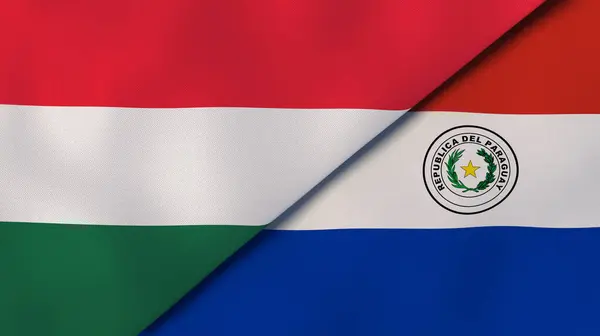 Due Stati Bandiere Dell Ungheria Del Paraguay Contesto Aziendale Alta — Foto Stock