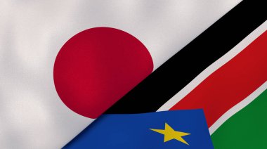 Japonya ve Güney Sudan 'ın iki bayrağı. Kaliteli bir iş geçmişi. 3d illüstrasyon