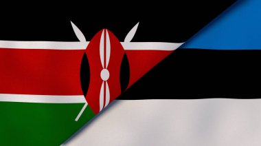 Kenya ve Estonya 'nın iki eyaleti. Kaliteli bir iş geçmişi. 3d illüstrasyon