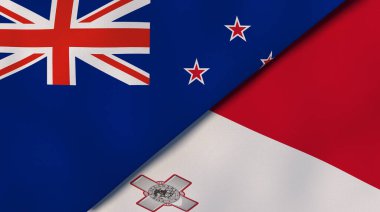 Yeni Zelanda ve Malta 'nın iki eyaleti. Kaliteli bir iş geçmişi. 3d illüstrasyon