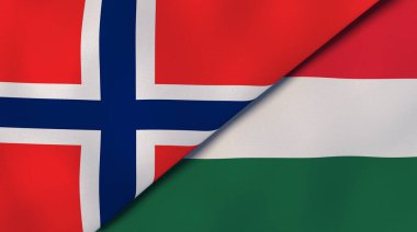 Norveç ve Macaristan 'ın iki bayrağı. Kaliteli bir iş geçmişi. 3d illüstrasyon