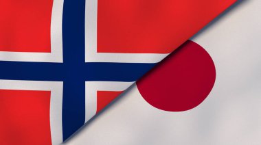 Norveç ve Japonya 'nın iki bayrağı. Kaliteli bir iş geçmişi. 3d illüstrasyon