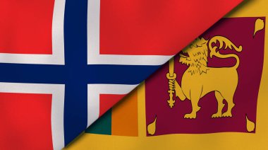 Norveç ve Sri Lanka 'nın iki bayrağı. Kaliteli bir iş geçmişi. 3d illüstrasyon