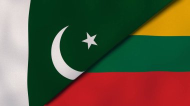 Pakistan ve Litvanya 'nın iki bayrağı. Kaliteli bir iş geçmişi. 3d illüstrasyon