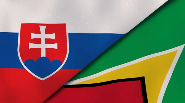 Державні Прапори Словаччини Гаяни Високоякісне Ділове Минуле Ілюстрація — стокове фото
