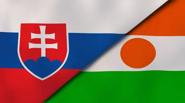 Державні Прапори Словаччини Нігеру Високоякісне Ділове Минуле Ілюстрація — стокове фото