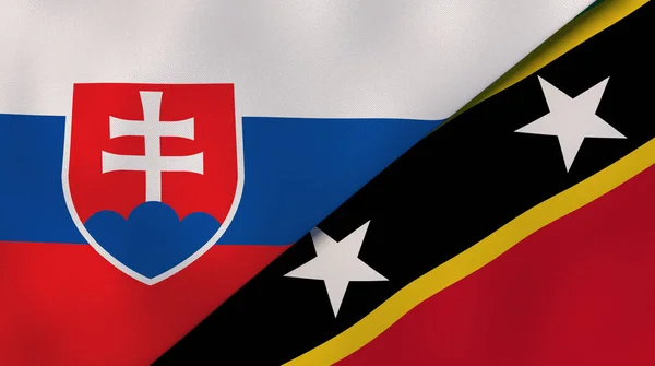 Deux États Drapeaux Slovaquie Saint Kitts Nevis Une Expérience Professionnelle — Photo